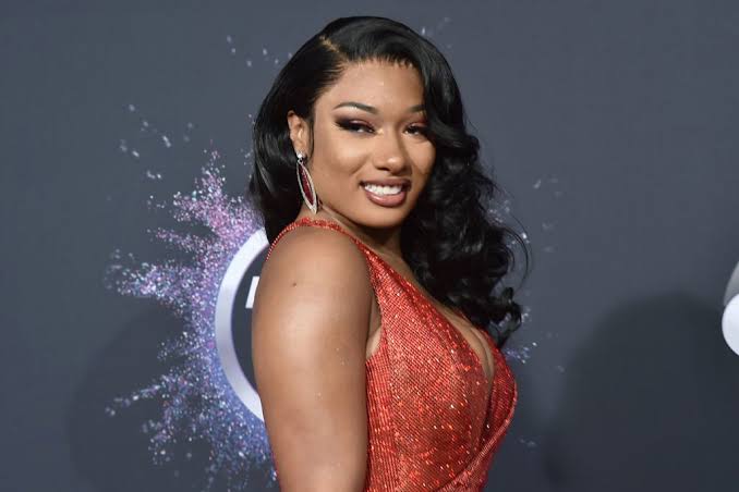 Megan Thee Stallion Rushed To Hospital